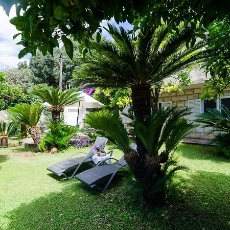 Apartment Stanka Dubrovnik
